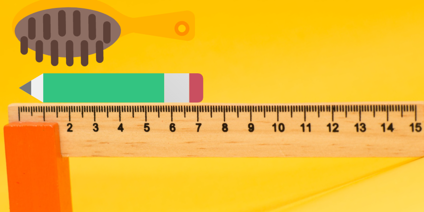 meter scale